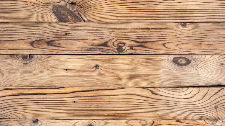 Estimation des coûts : combien coûte l'éradication des termites de votre domicile ?