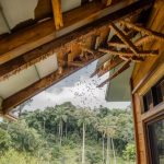 Les erreurs courantes à éviter lors d’un traitement contre les termites pour garantir son efficacité